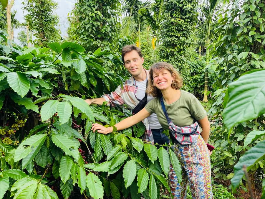 Buon Ma Thuot: Coffee Farm Tour (Bean to Brew) with Pickup - Pickup, timing, and how to not miss the car