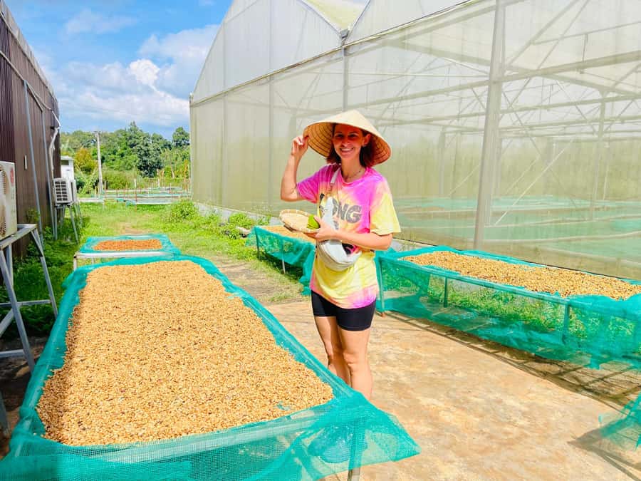 Buon Ma Thuot: Coffee Farm Tour (Bean to Brew) with Pickup - Should you book the Coffee Farm Tour (Bean to Brew) with Pickup?