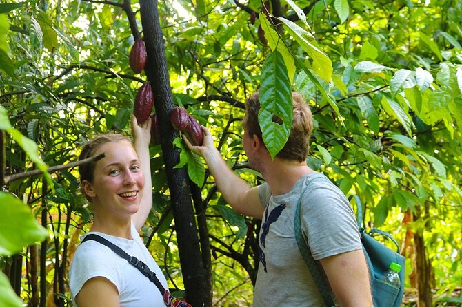 Cai Rang floating market, Cacao & hidden small canal - My Khanh village walk: a quick look at traditional homes and daily life