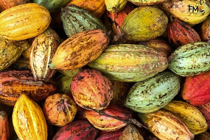 Cai Rang floating market, Cacao & hidden small canal - Guides make the experience: Chris (Minh Nhật), Edward, Natalie, and why it matters