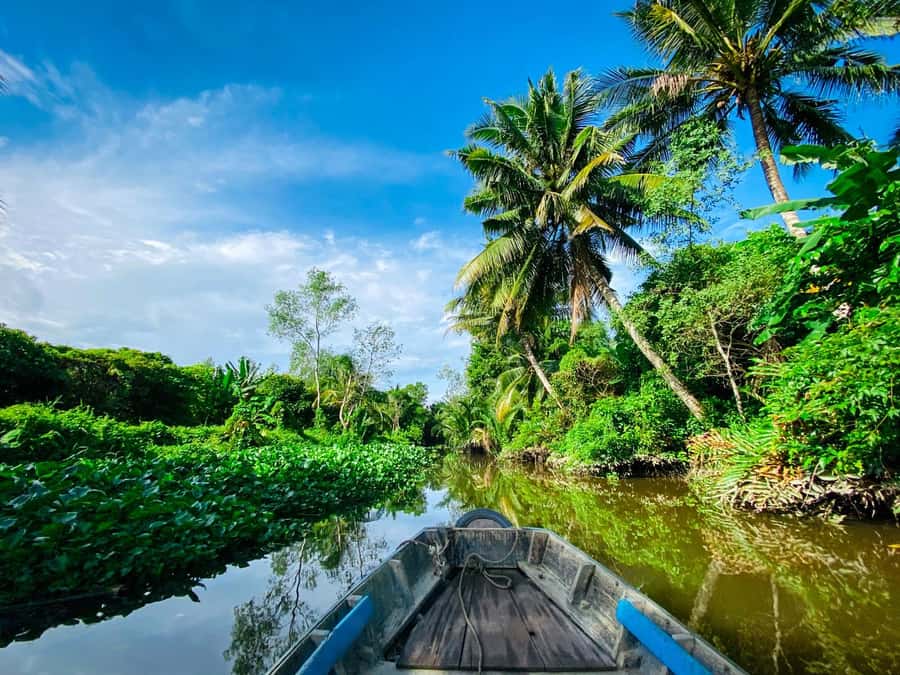 Can Tho: A Real Mekong Tour, Floating Market, Cacao & Life's - Organic cacao farm visit, Mr. Cacao, and cacao milk included