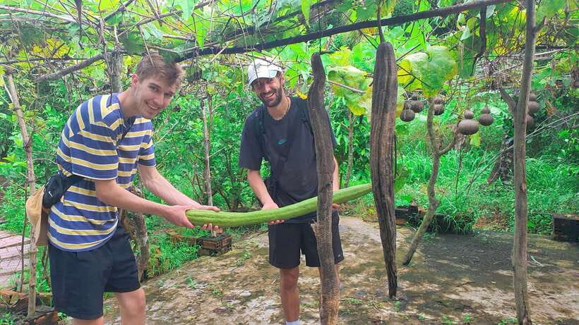 Can Tho: Authentic Mekong Delta – Real Local Life Tour. - Tea, Tropical Fruit, and the Floating House Finale