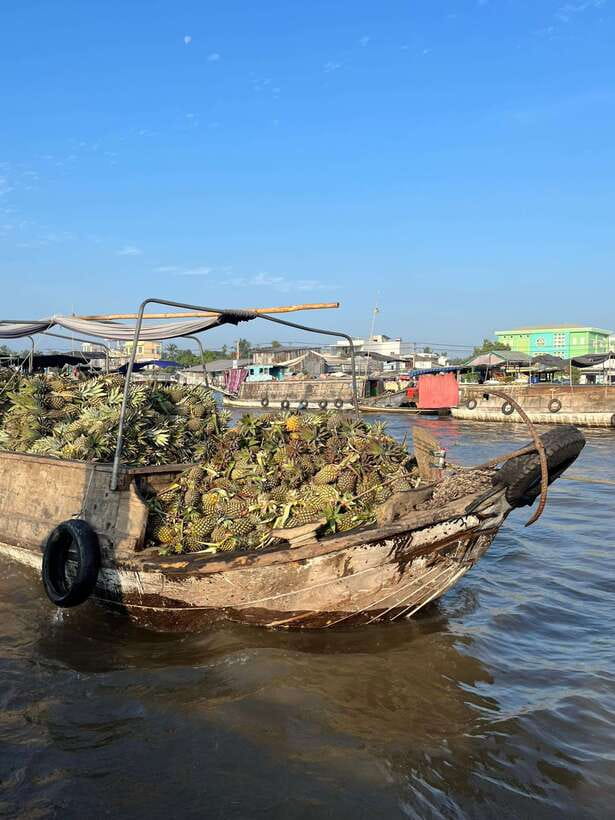 Can Tho: Cai Rang Floating Market and Canals - Cai Rang Floating Market: Boats as Shops, Homes, and Workspaces