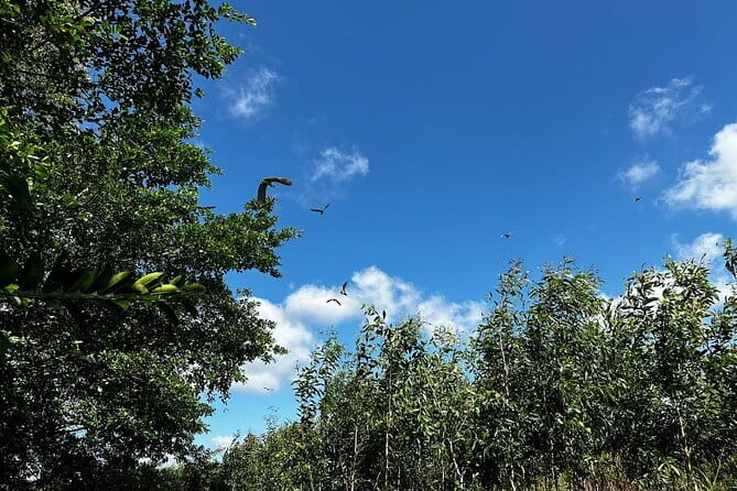 Can Tho: Explore Craft Village & Lung Ngoc Hoang Nature Reserve - Stepping out of Can Tho and into protected wetlands