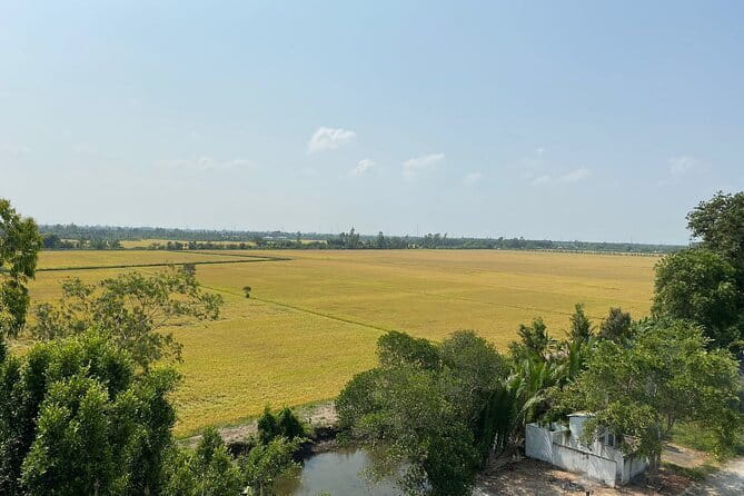 Can Tho: Explore Craft Village & Lung Ngoc Hoang Nature Reserve - The 25-meter observation tower: where the wetlands click into focus