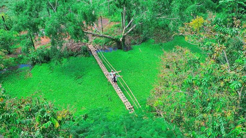Can Tho: Floating Market & Lung Ngoc Hoang Nature Reserve - Bamboo basket weaving village: hands-on craft you can try