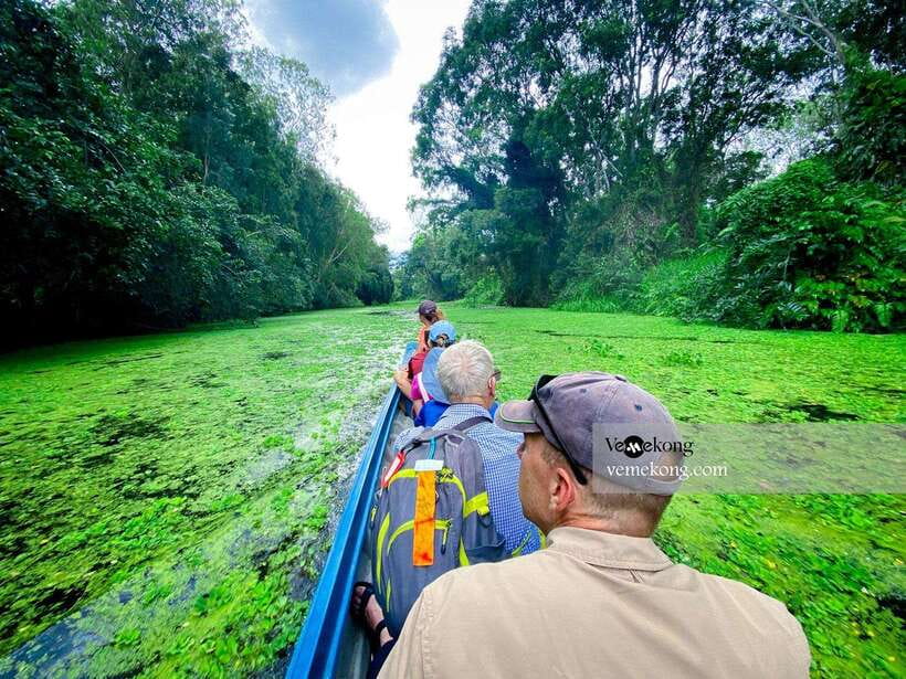 Can Tho: Lung Ngoc Hoang Forest Nature Reserve Half-Day Tour - The giant ficus microcarpa tree, a living marker of wartime camouflage