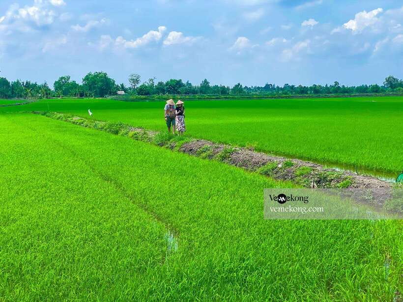 Can Tho: Lung Ngoc Hoang Forest Nature Reserve Half-Day Tour - Guide quality is the real upgrade, especially with Lâm and Duy
