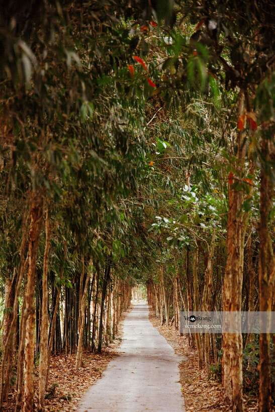 Can Tho: Lung Ngoc Hoang Nature Reserve & Forest Tour - Key highlights worth planning for