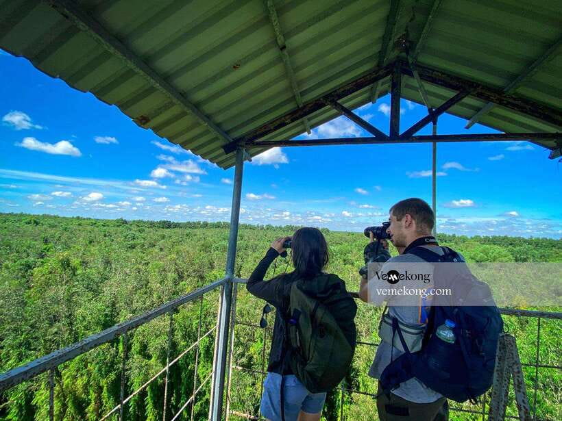 Can Tho: Lung Ngoc Hoang Nature Reserve & Forest Tour - From Can Tho: the smart half-day break into real wetlands
