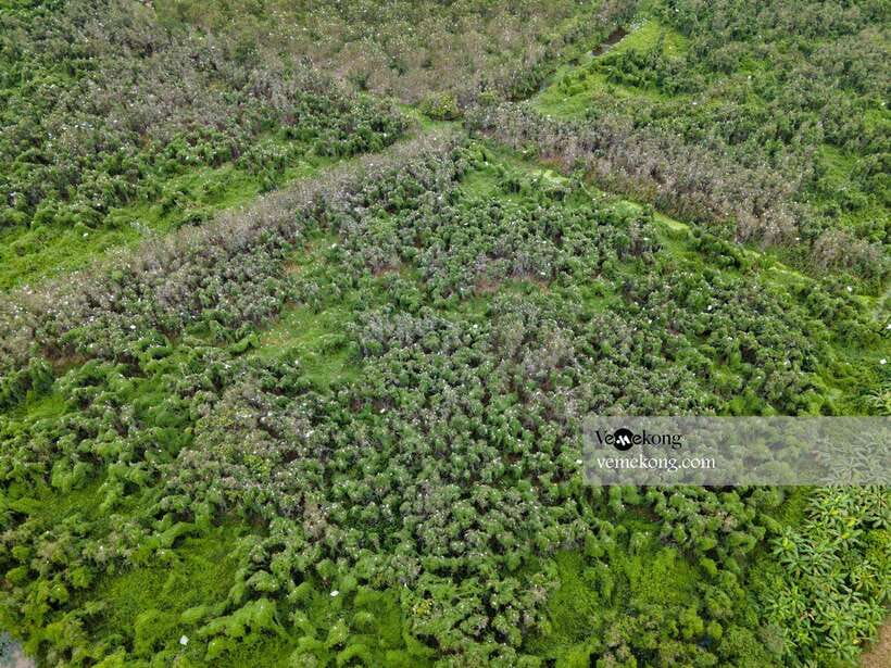 Can Tho: Lung Ngoc Hoang Nature Reserve & Forest Tour - Pace, timing, and the kind of day this is