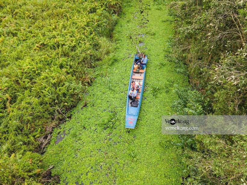 Can Tho: Lung Ngoc Hoang Nature Reserve & Forest Tour - Who should book this forest tour