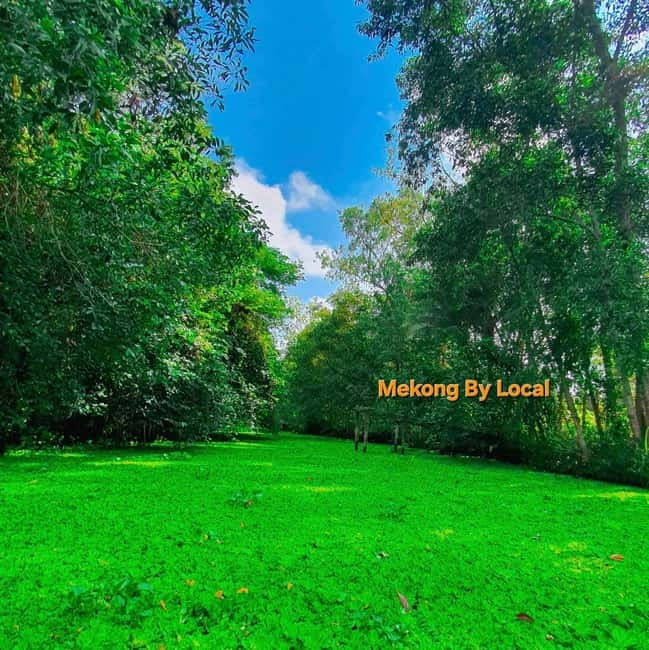 Can Tho: Wild Mekong Wonders Tour for Nature Lovers - Guides and atmosphere: what makes the experience feel well-run