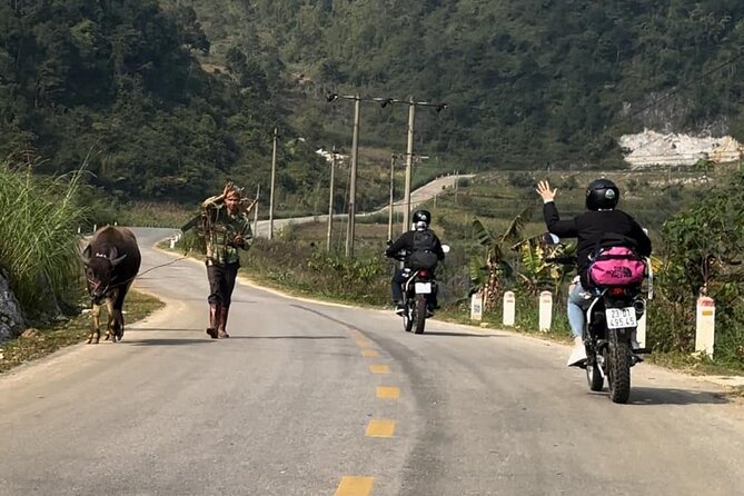 Cao Bằng: Ban Gioc Waterfall Full-Day With Local Guide - Morning in Cao Bang: breakfast and the 7:30 departure plan