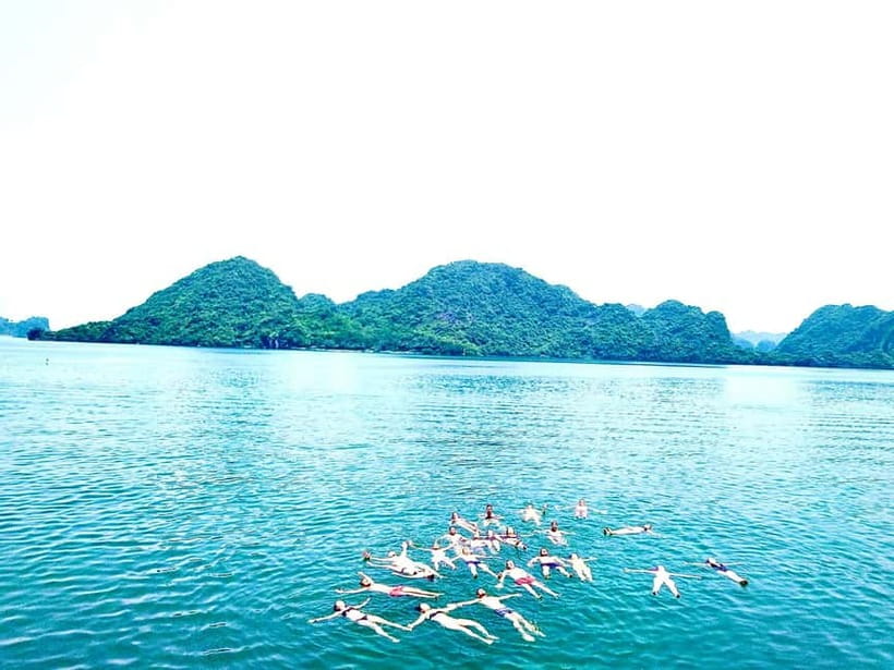 CAT BA :2D1N Lan Ha bay-Ha Long bay with Plankton Excursion - Key highlights to look for