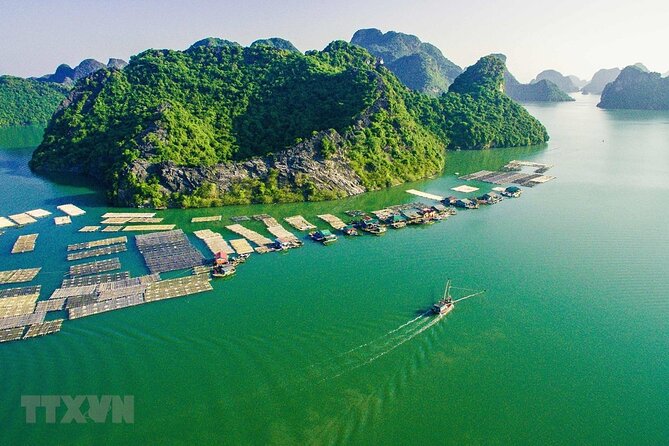 Cat Ba Cruise 2 Days 1 Night - Day 2 in Viet Hai Village: Bike Through Rural Roads