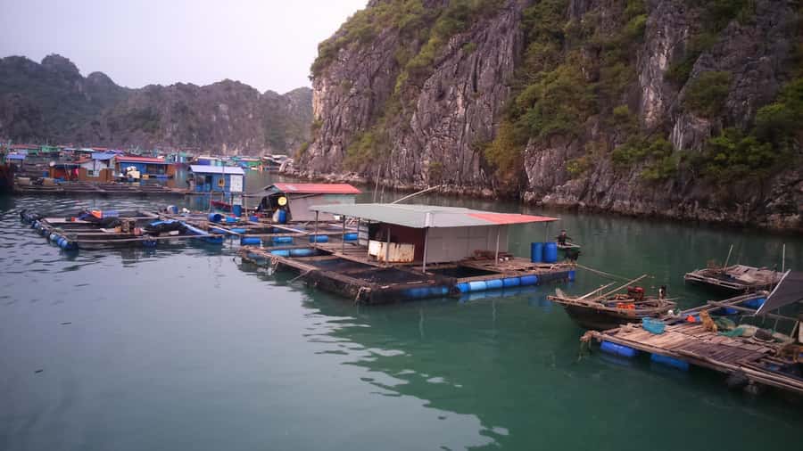 Cat Ba Island: Full-Day Cruise to Lan Ha Bay and Ha Long Bay - Key highlights you will actually feel