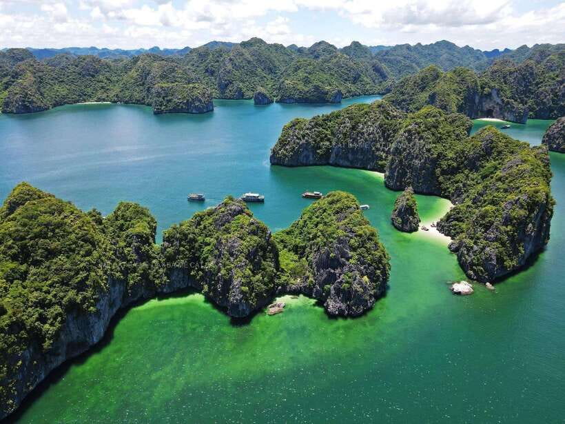 Cat Ba Island: Lan Ha Bay Bioluminescence Plankton Kayaking - Key things that make this tour worth your time
