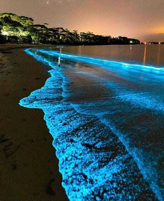 Cat Ba Island: Lan Ha Bay Bioluminescence Plankton Kayaking - From boat to kayaks at dusk: getting to the best plankton spots