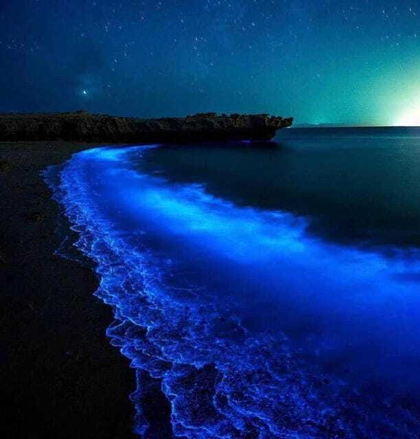 Cat Ba Island: Lan Ha Bay Bioluminescence Plankton Kayaking - What to pack so the glowing water does not derail your comfort