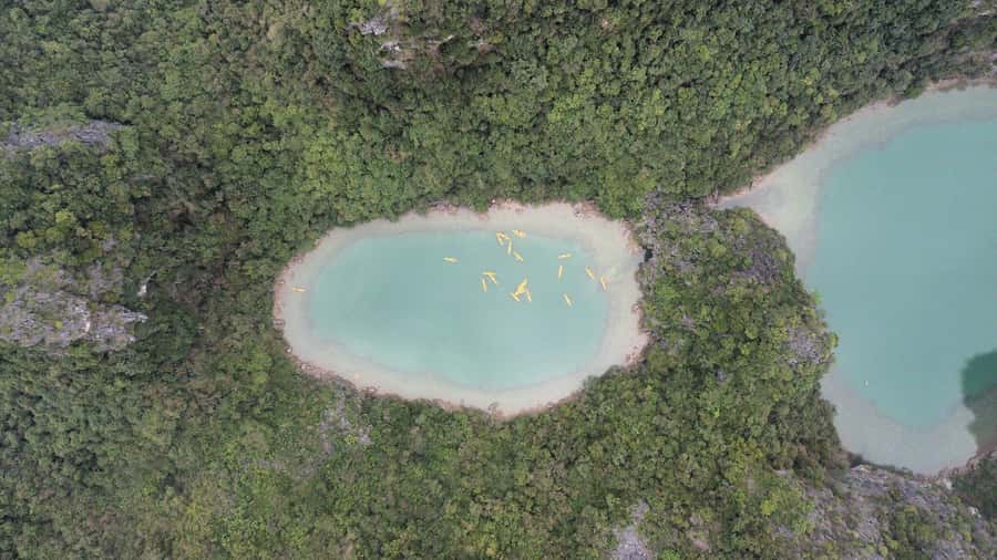 Cat Ba: Lan Ha and Ha Long Bay Boat Tour with Kayaking, Cave - Weather, timing, and how to handle a rain-or-shine day