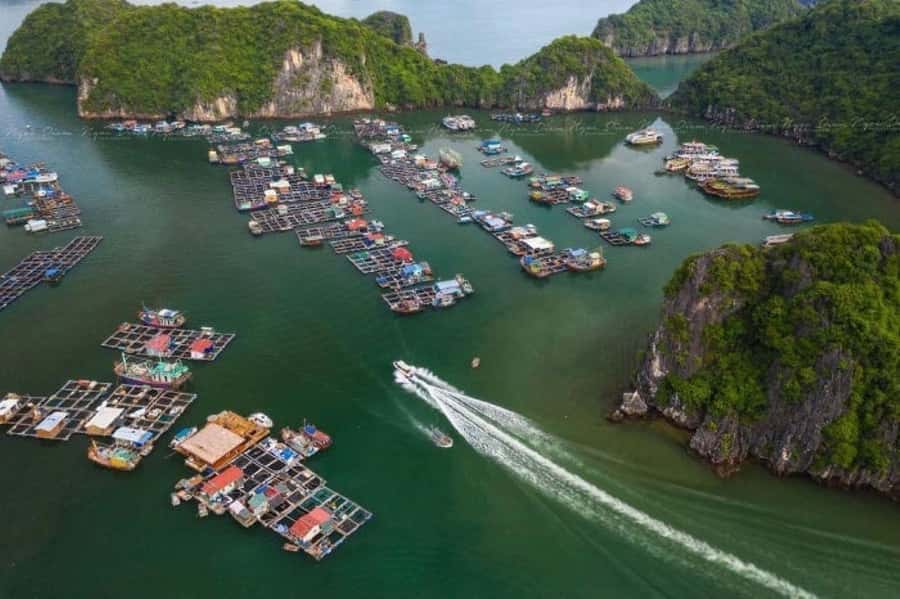 Cat Ba : Lan Ha Bay Bioluminescent Plankton Kayak Boat Tour - Sunset Swim, Rock Jumping, and How to Decide Safely
