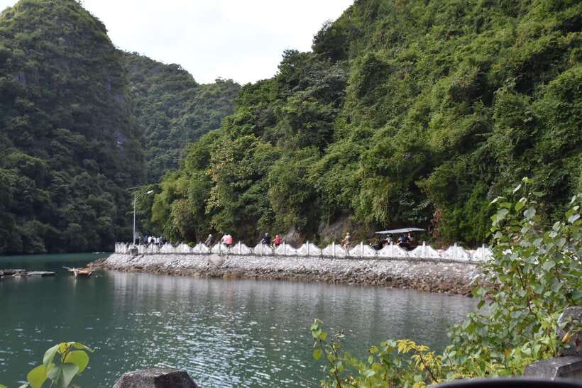 Cat Ba: Lan Ha, HaLong bay full day- biking, kayaking, lunch - Guide and group vibe: why the day feels smooth