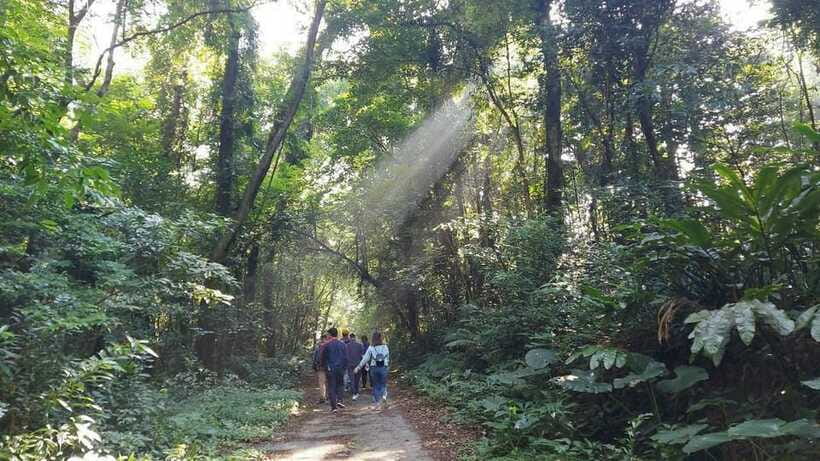 Cat Ba: National Park Day Trip with Cycling and Kayaking - Price and Value: What $66 Covers for a 9-Hour Active Day