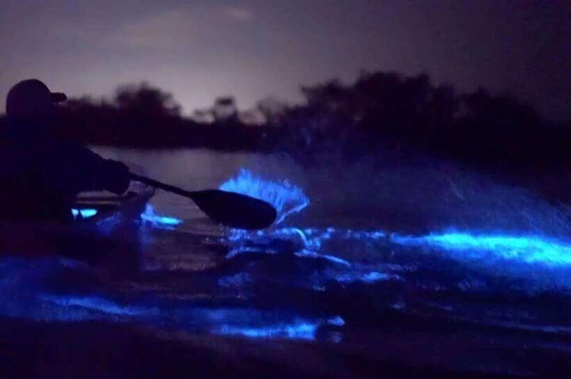 Cat Ba: Sunset and Night kayak with bioluminescent plankton - Night kayaking and the “sparkle on contact” moment