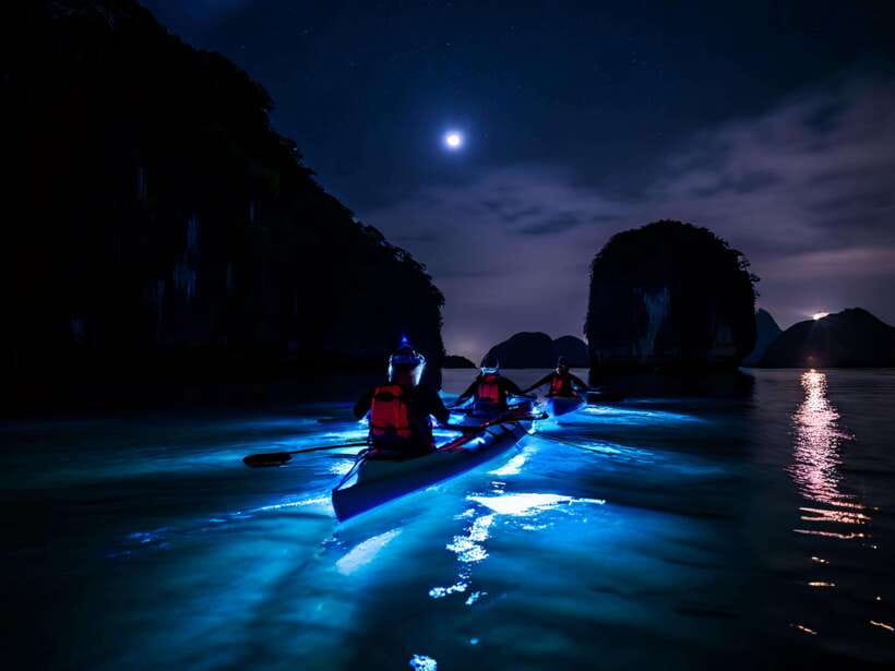 Cat Ba: Sunset and Night kayak with bioluminescent plankton - The bioluminescent plankton part: what you’re really paying for