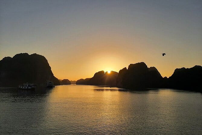 Cat Ba: Sunset & Bioluminescent Kayaking on Lan Ha Bay - Bioluminescent kayaking on Lan Ha Bay, what to expect in real life