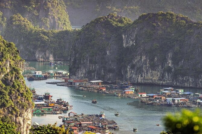 Cat Ba: Sunset & Bioluminescent Kayaking on Lan Ha Bay - Price and value: is $43 really fair for what you get?