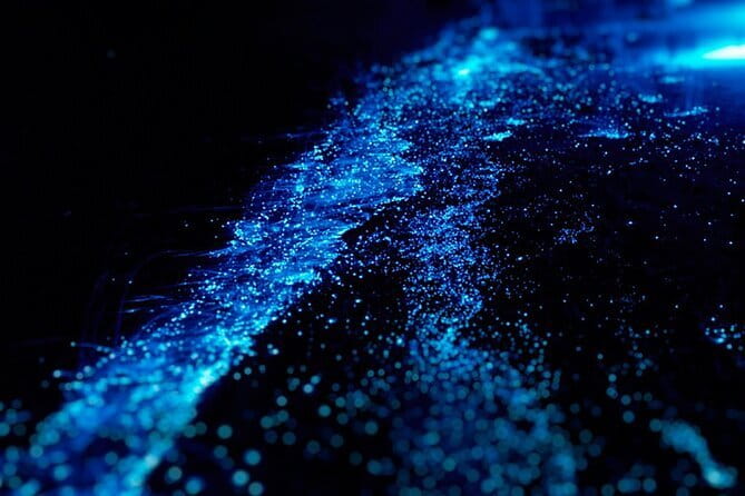 Cat Ba: Sunset & Bioluminescent Kayaking on Lan Ha Bay - Sunset party and boat dinner, the best part to warm up your night