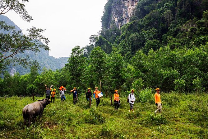 Cha Loi Cave 1 day like Tazan in the Jungle - Why Cha Loi Cave is different from a typical cave tour