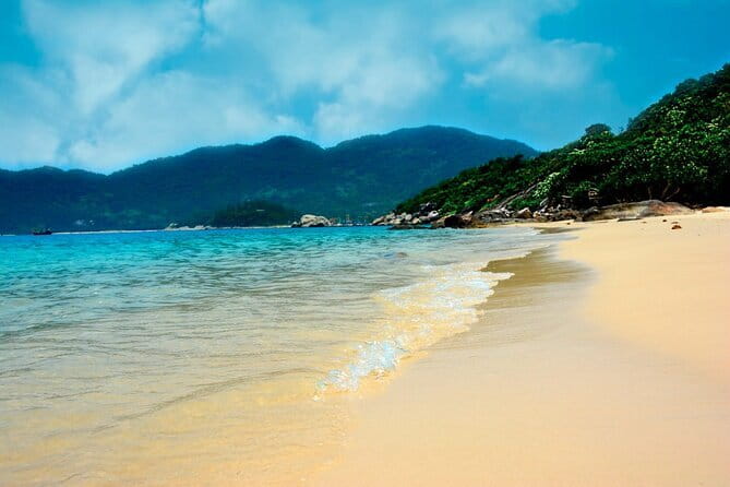Cham island snorkeling tour - Lunch and drinks, plus how the meal fits the rhythm
