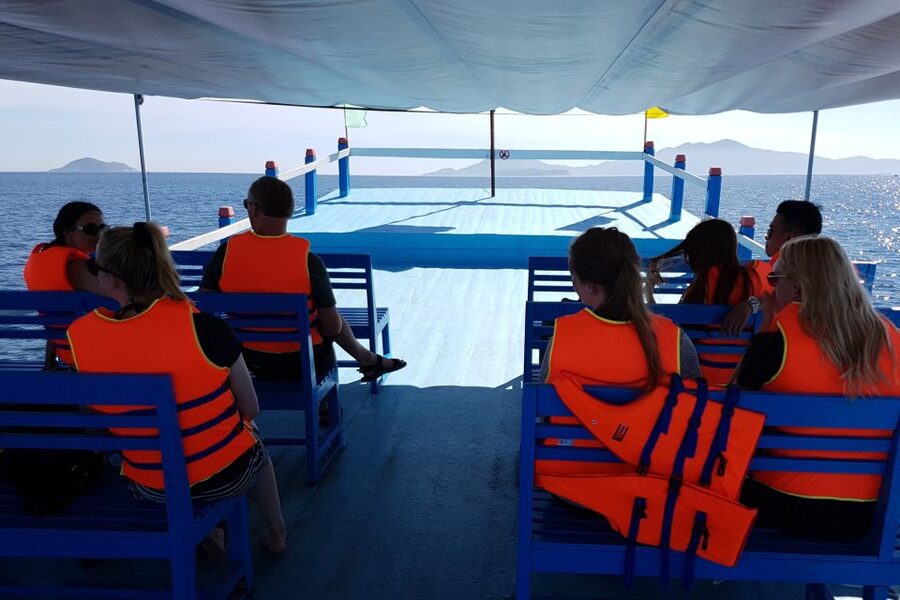 Cham Island: Snorkeling Tour - Who should book this Cham Island snorkeling tour?