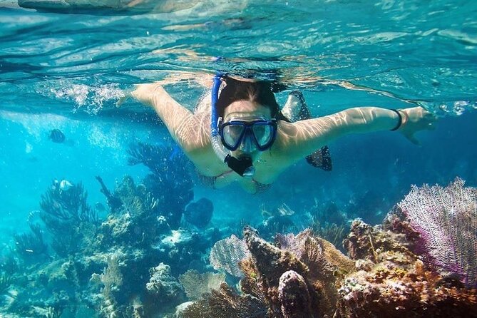 Cham Island Tour Snorkeling -Sunbathing - Nice Beach - Speedboat - Cu Lao Cham Museum and Au Thuyen, why this portion is more than filler