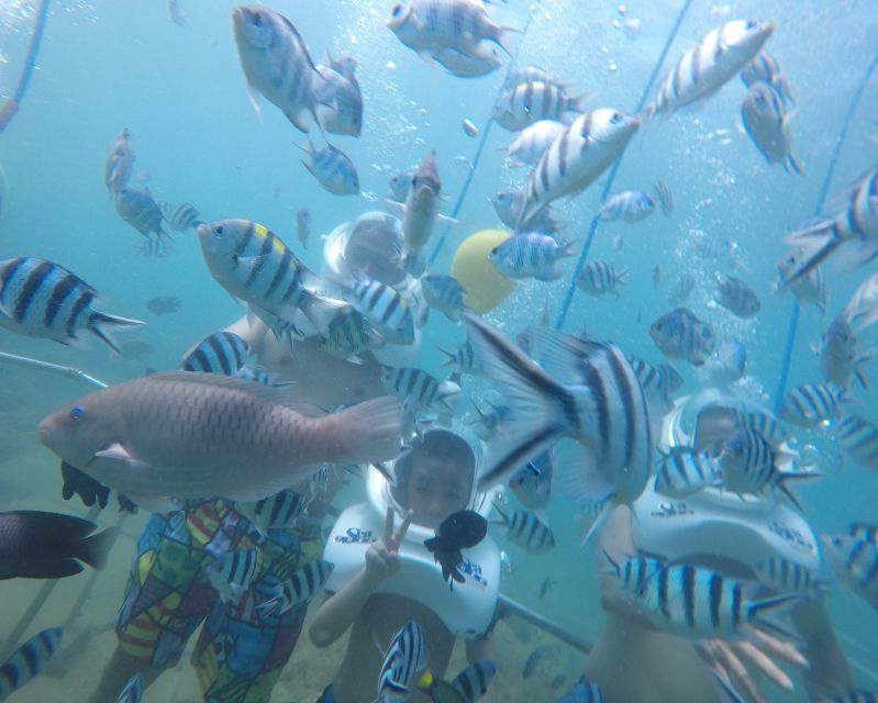 Cham Island: Underwater Walking & Snorkeling Tour - Key things that make this tour special