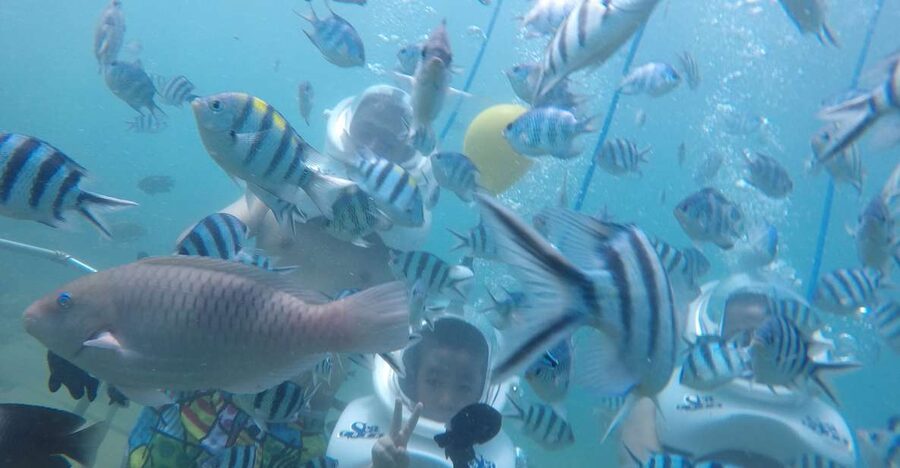 Cham Island: Underwater Walking & Snorkeling Tour - Cham Island Underwater Walking, in plain terms