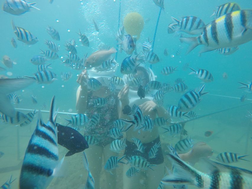 Cham Island: Underwater Walking & Snorkeling Tour - Getting to Cua Dai Wharf and heading out
