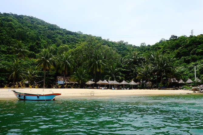 Cham Islands Snorkeling Tour by SpeedBoat from Da Nang - Price and value: what $53 buys you in the real world