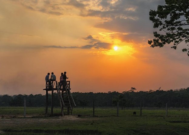 Chitwan Jungle Safari Tour - Key highlights to look forward to