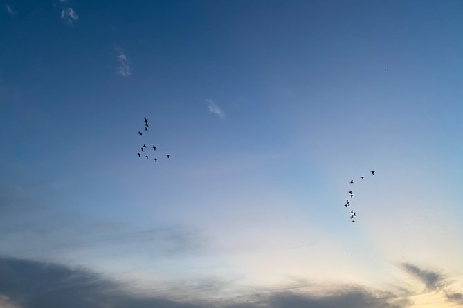 Chitwan Jungle Safari Tour - Day 2: bird watching and the Rapti River