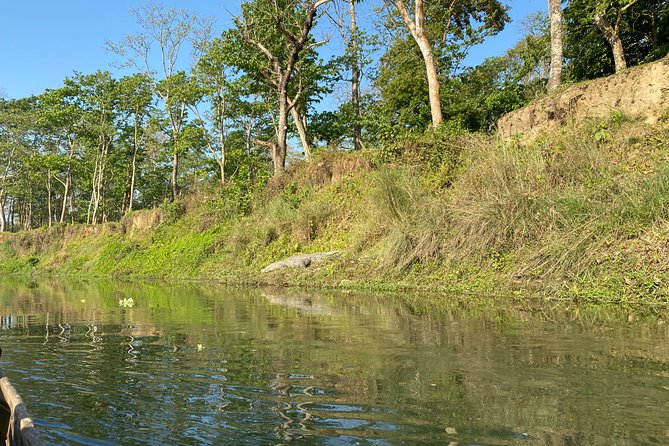 Chitwan Jungle Safari Tour - Getting picked up and moving with a small group