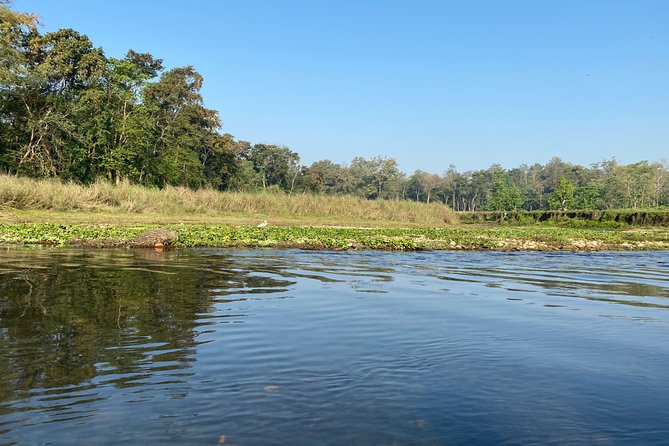 Chitwan Jungle Safari Tour - What kind of traveler this tour fits best