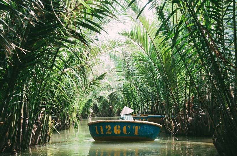 Coconut Basket Boat Ride in Hoi An - Key things to know before you go