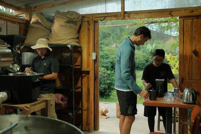 Coffee Farm Tour with Roasting & Tasting Workshop - Da Lat - Inside the coffee plantation visit