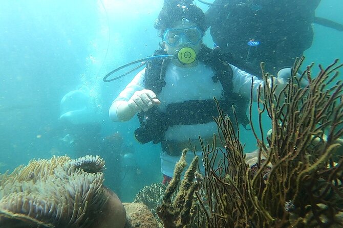 Coral Reef Snorkeling and Floating Bar Party from Nha Trang - Price and value: what $29.68 buys you