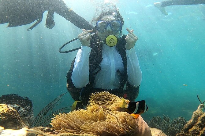 Coral Reef Snorkeling and Floating Bar Party from Nha Trang - Relaxing at Con Sẻ Tre and the sunset ocean break