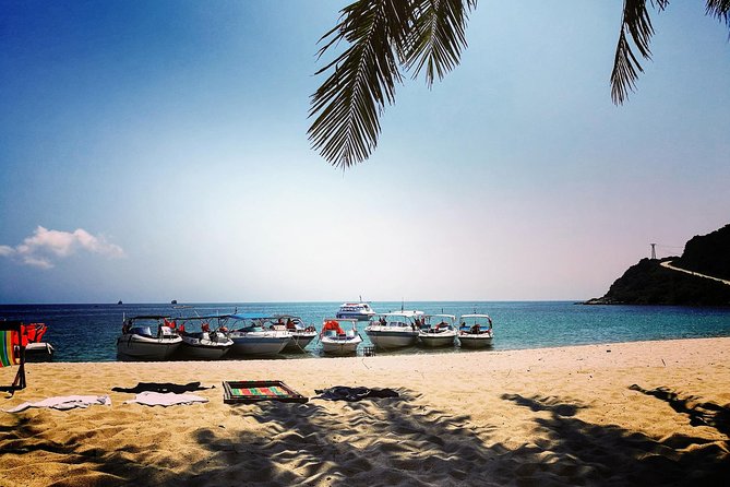 Cu Lao Cham Island Tour from Da Nang/ Hoi An - Price and what you really get for $27